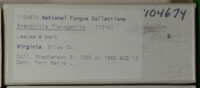 Image Associated With the Occurence